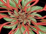 With green textured leaves and red tendrils, this fractal flower is strangely suggestive of a Christmas cactus or exotic poinsettia.