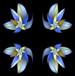 This simple repeating floral background was made from our Tawny Blue Lily fractal, in shades of blue, yellow and gold. Tile it for an unusual fabric, textile, or wallpaper design or border.